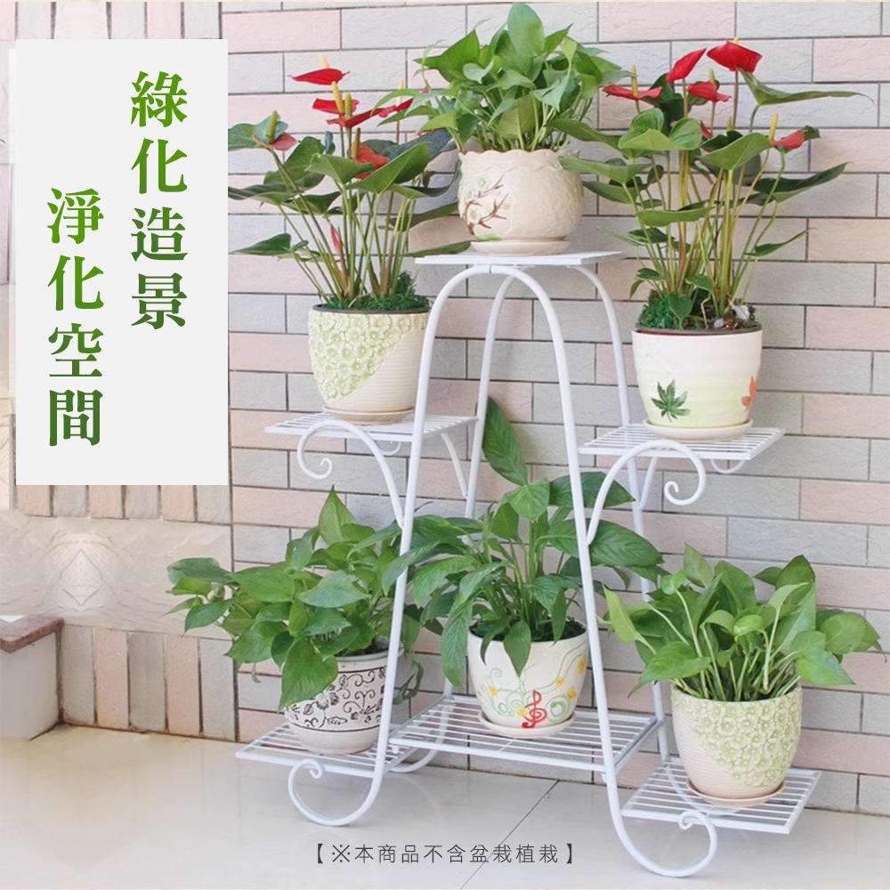 綠化造景 淨化空間 本商品不含盆栽植栽 