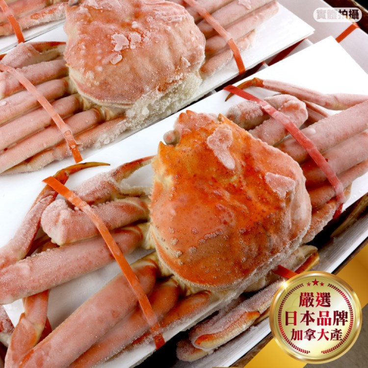 海肉管家 日本品牌加拿大熟松葉蟹整隻(1隻_350-400g