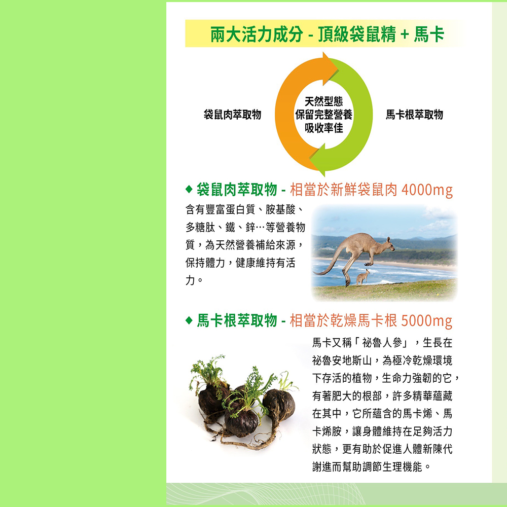 馬卡根萃取物  相當於乾燥馬卡根 5000mg