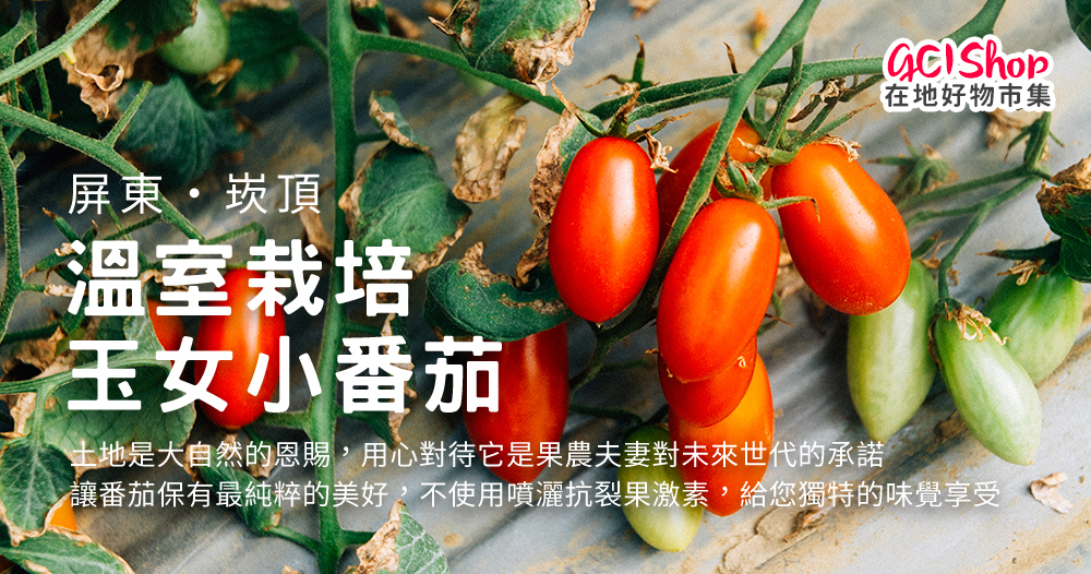 美夢成真GCI 屏東溫室栽培玉女小番茄-4斤裝x2箱組(產地
