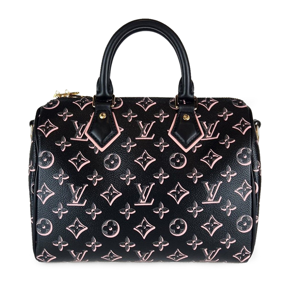 Louis Vuitton 路易威登 M20852 經典Sp