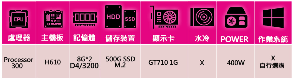 微星平台 Processor雙核GT710{綠樹成蔭}文書電