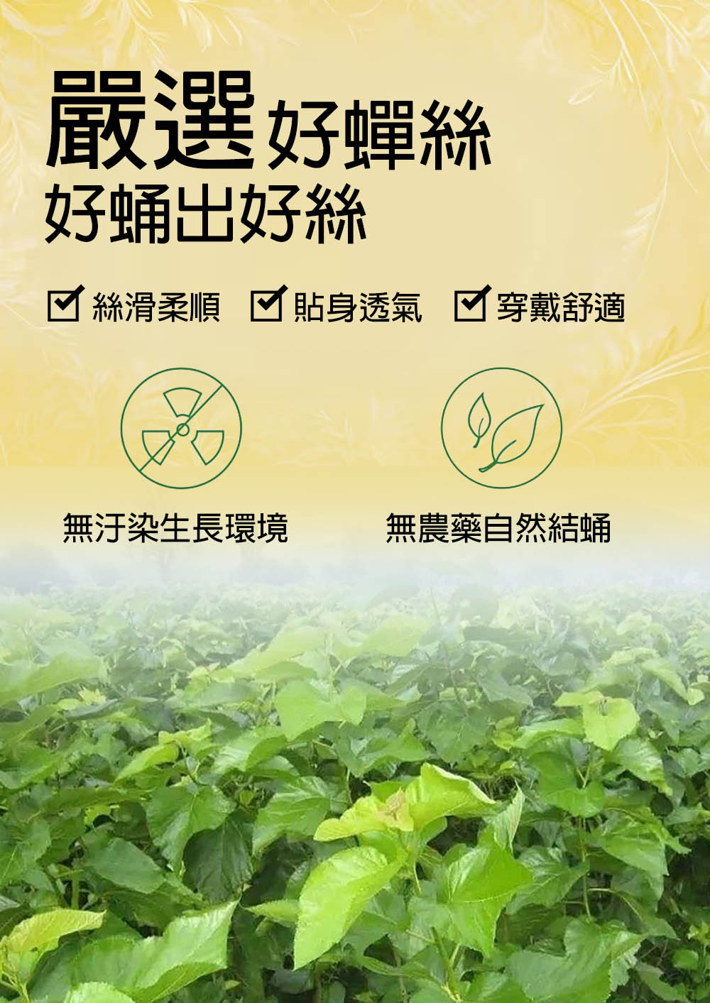 嚴選好蟬絲 好蛹出好絲 絲滑柔順 貼身透氣  穿戴舒適 無汙染生長環境 無農藥自然結蛹 