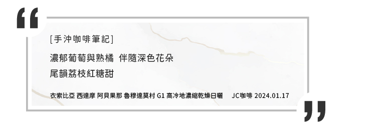 JC咖啡 衣索比亞 西達摩 魯穆達莫村 G1 高冷地日曬│淺