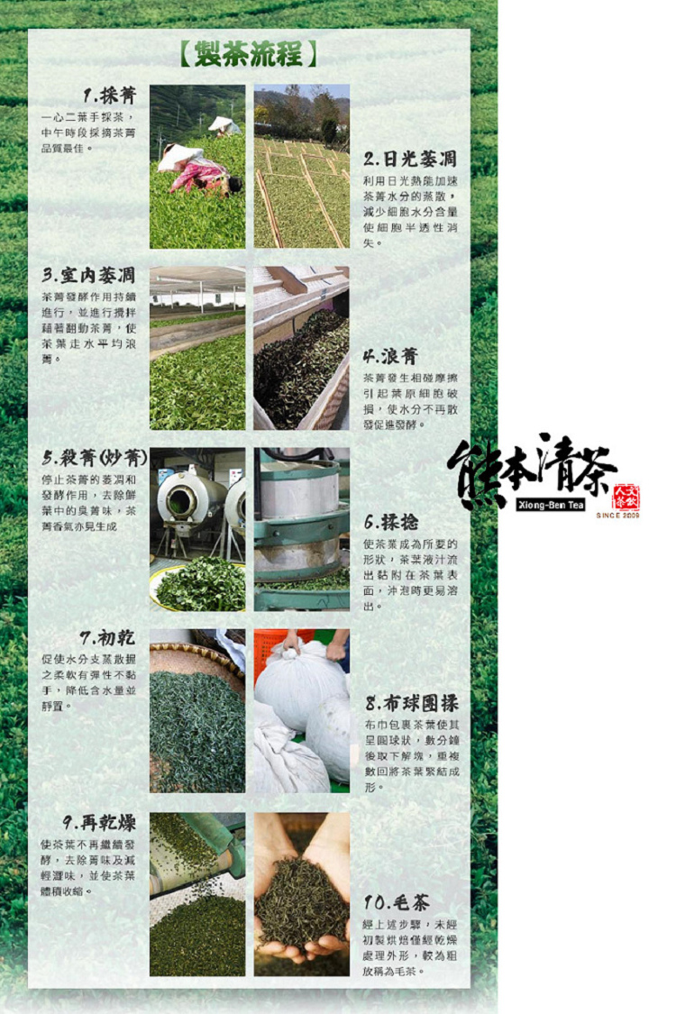 一心二葉手探茶,