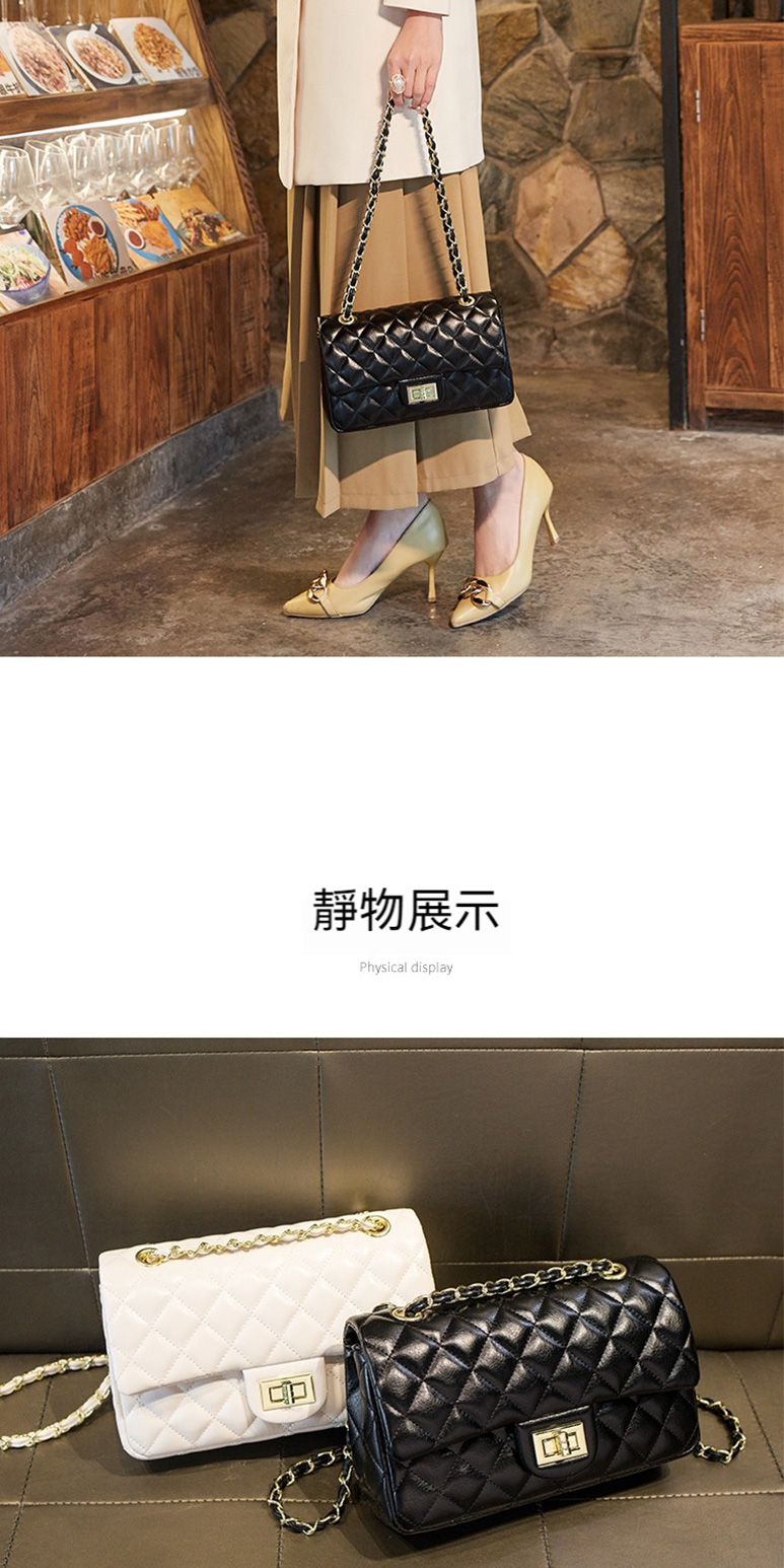 靜物展示 