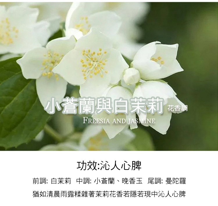 小蒼蘭與白茉莉。 花香調 功效沁人心脾 前調白茉莉 中調小蒼蘭、晚香玉 尾調 曼陀羅 猶如清晨雨露糅雜著茉莉花香若隱若現中沁人心牌 