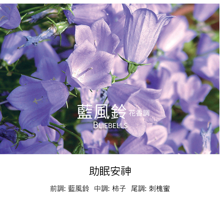 藍風鈴 花香調 助眠安神 前調藍風鈴 中調 柿子 尾調刺槐蜜 
