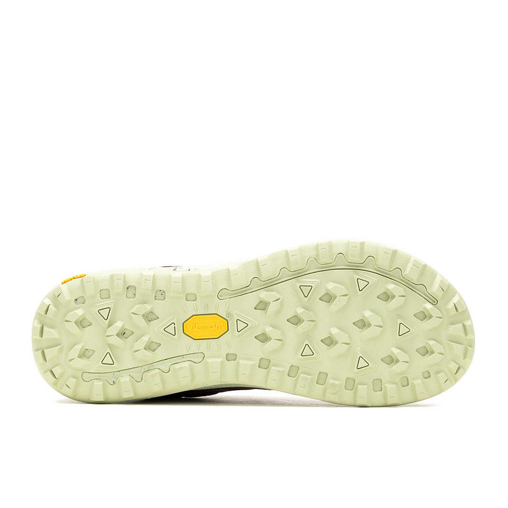 MERRELL 運動鞋 野跑鞋 女鞋 ANTORA 3 GO