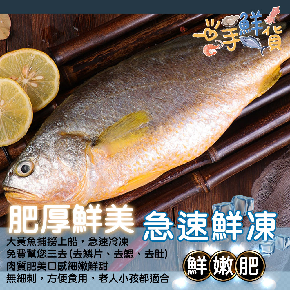 一手鮮貨 特級金嫩大黃魚(4尾組/殺清前600g/去鱗去鰓去