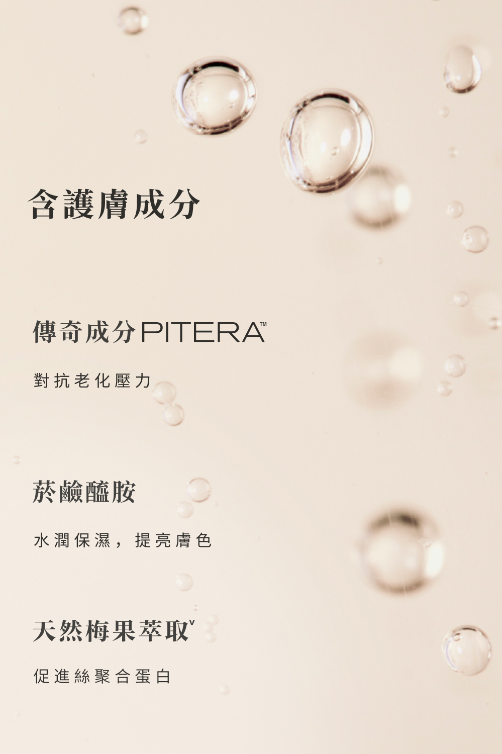 傳奇成分PITERA