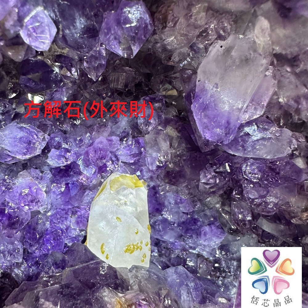 怎芯晶品 
