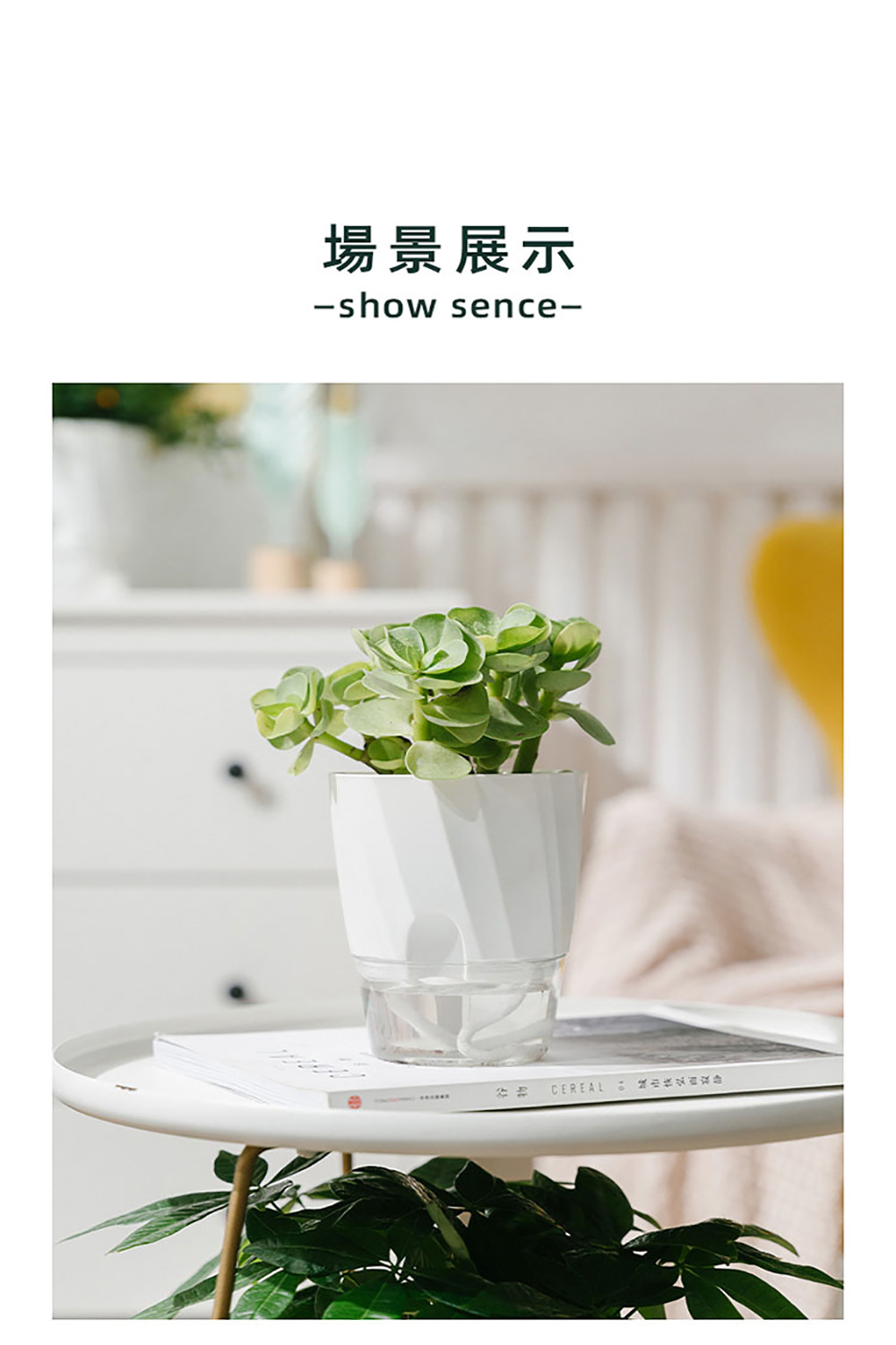 場景展示 谷物 0 城市恢弘百寂静 