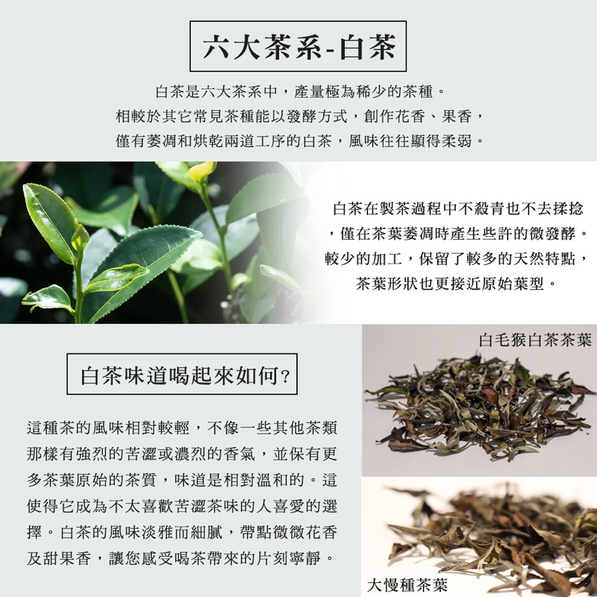相較於其它常見茶種能以發酵方式,創作花香、果香,