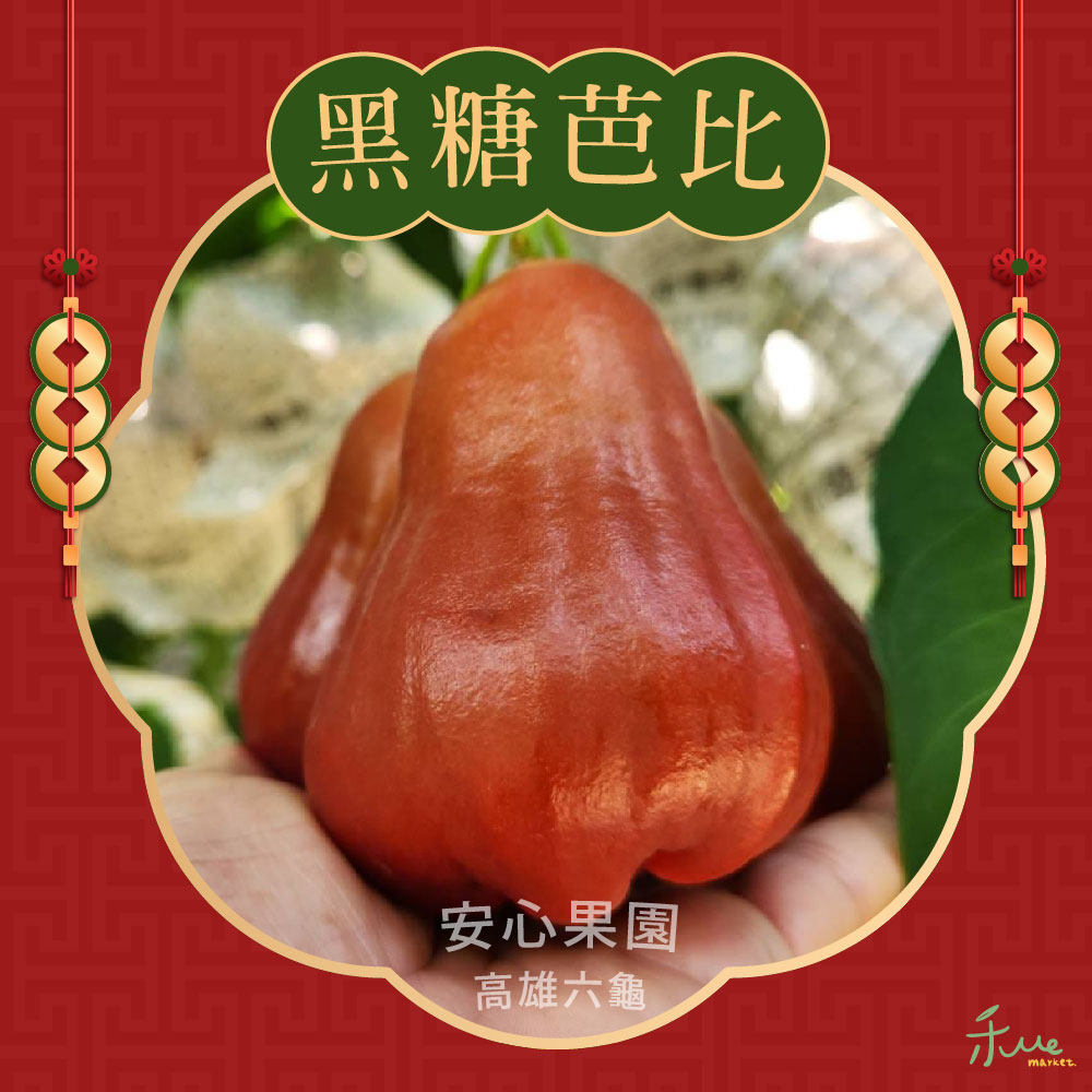 禾ME 黑糖芭比蓮霧(5斤/一盒)品牌優惠