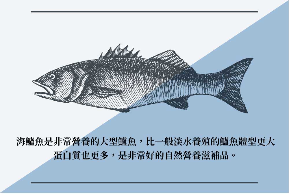 優鮮配 御品金目鱸魚片美饌10片組(200-300/片)優惠