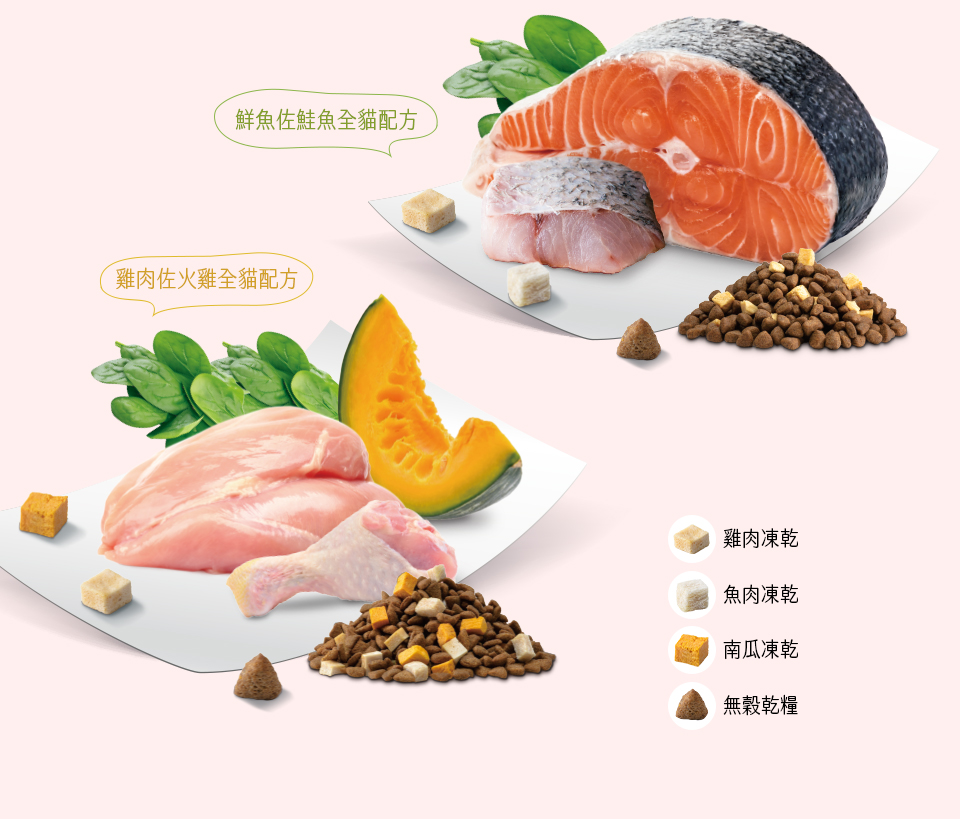 鮮魚佐鮭魚全貓配方