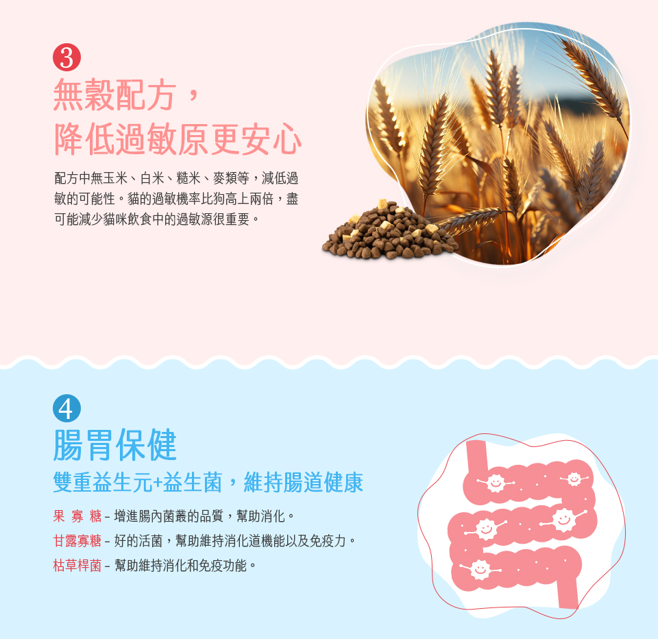 甘露寡糖好的活菌,幫助維持消化道機能以及免疫力。
