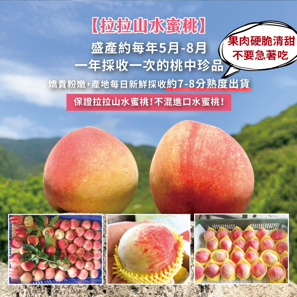 å¬è²´ç²å«©,ç¢å°æ¯æ¥æ°é®®æ¡æ¶ç´78åçåº¦åºè²¨