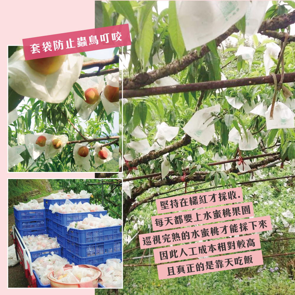 å·¡è¦å®ççæ°´èæ¡æè½æ¡ä¸ä¾