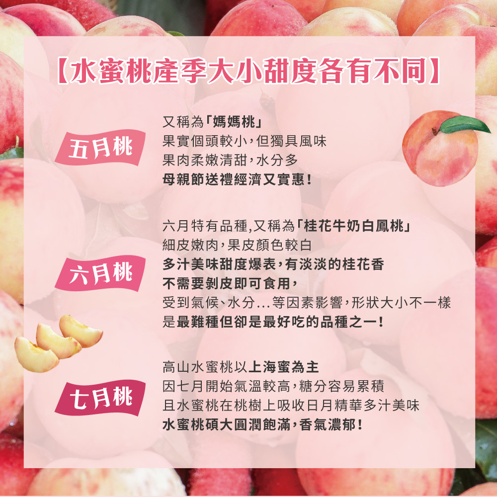 åå°æ°£åãæ°´å...ç­å ç´ å½±é¿,å½¢çå¤§å°ä¸ä¸æ¨£