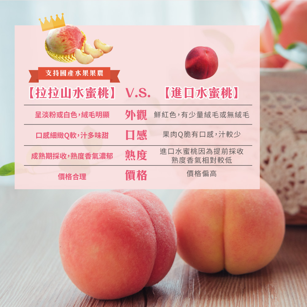 ææå±±æ°´èæ¡ V.S. é²å£æ°´èæ¡
