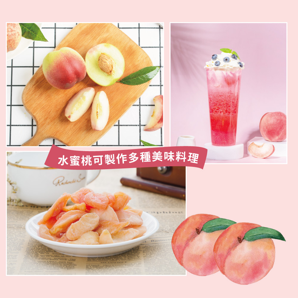 æ°´èæ¡å¯è£½ä½å¤ç¨®ç¾å³æç 