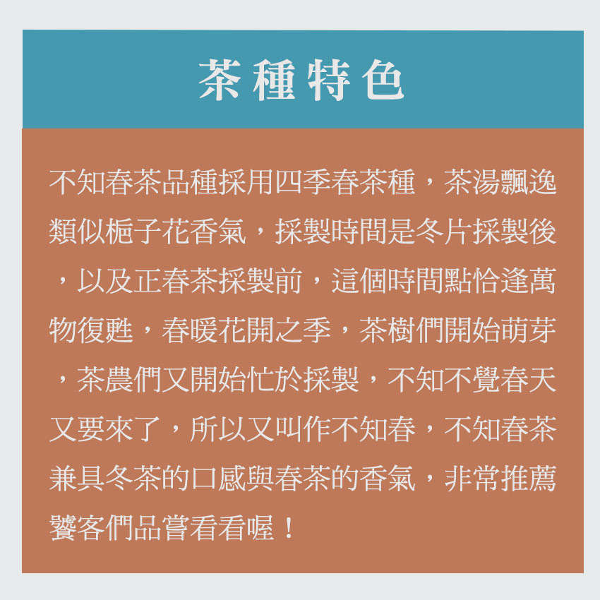 不知春茶品種採用四季春茶種,茶湯飄逸