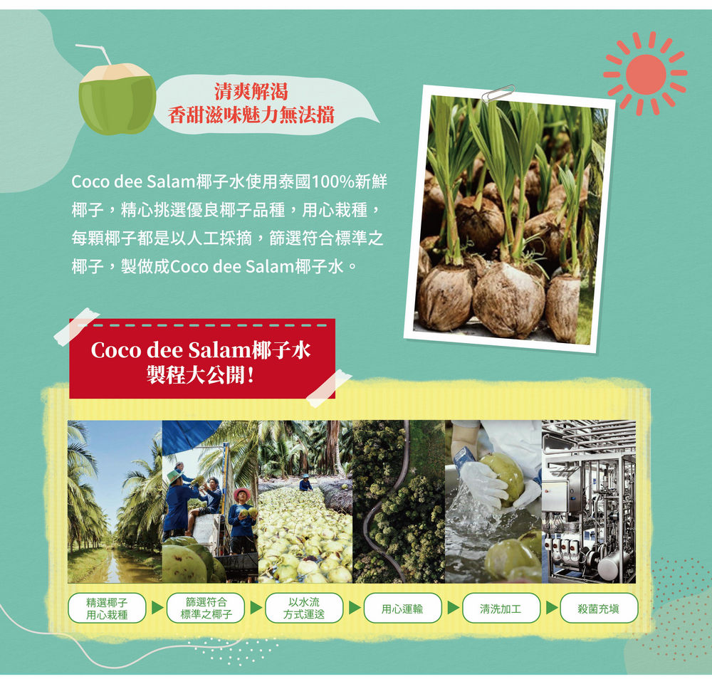 Coco dee Salam椰子水使用泰國100%新鮮