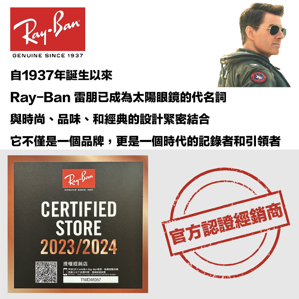 RayBan 雷朋 膠框 太陽眼鏡(RB2210F 901/