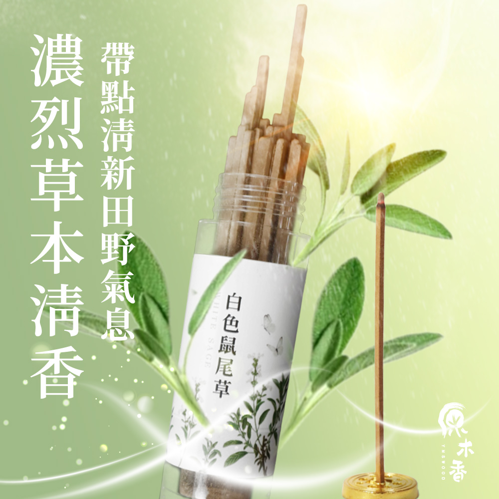 白色鼠尾草 帶點清新田野氣息 濃烈草本清香 