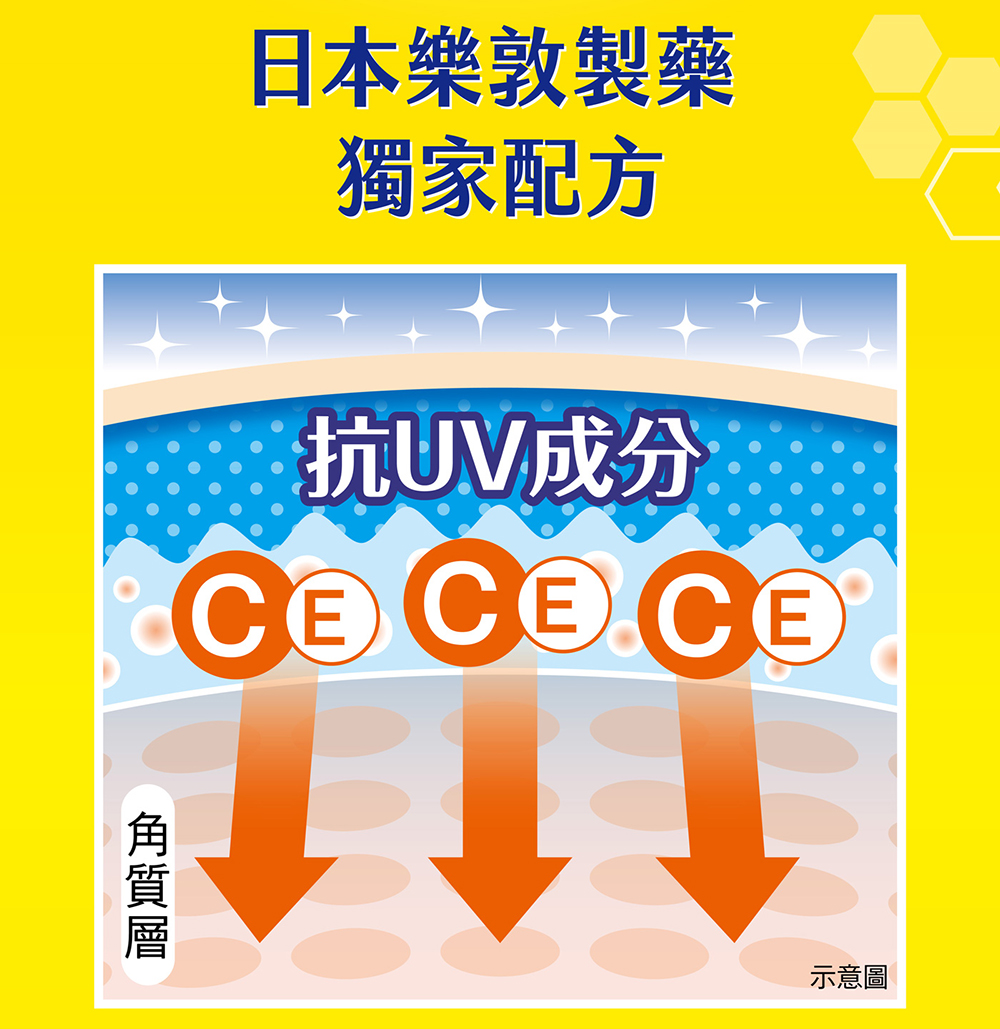 日本樂敦製藥 獨家配方 抗UV成分 角質層 示意圖 