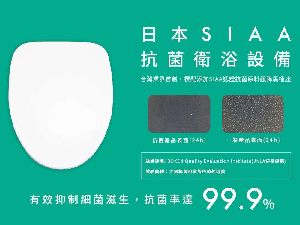 CAESAR凱撒衛浴 CF1356 - 詳情3