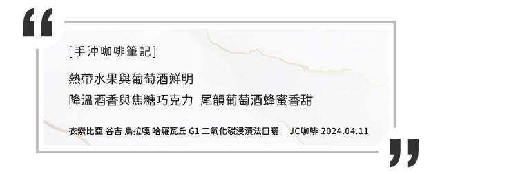 JC咖啡 衣索比亞谷吉烏拉嘎哈羅瓦丘G1二氧化碳浸漬日曬-T