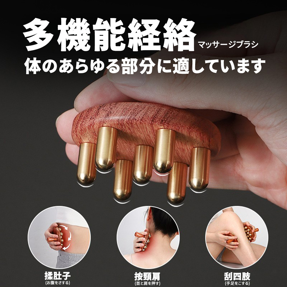 多機能経絡