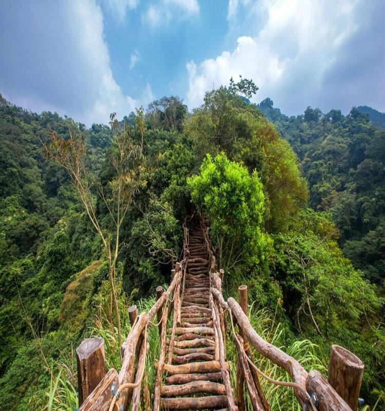 吉航旅遊 看見雪山｜神木觀禮、攀登百岳十崇逢甲智選假日二日好