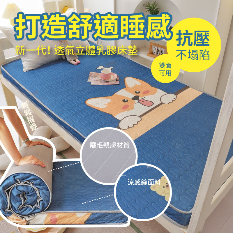 CGW 冰絲床墊升級乳膠表布床墊尺寸雙人折疊床墊(宿舍床墊 