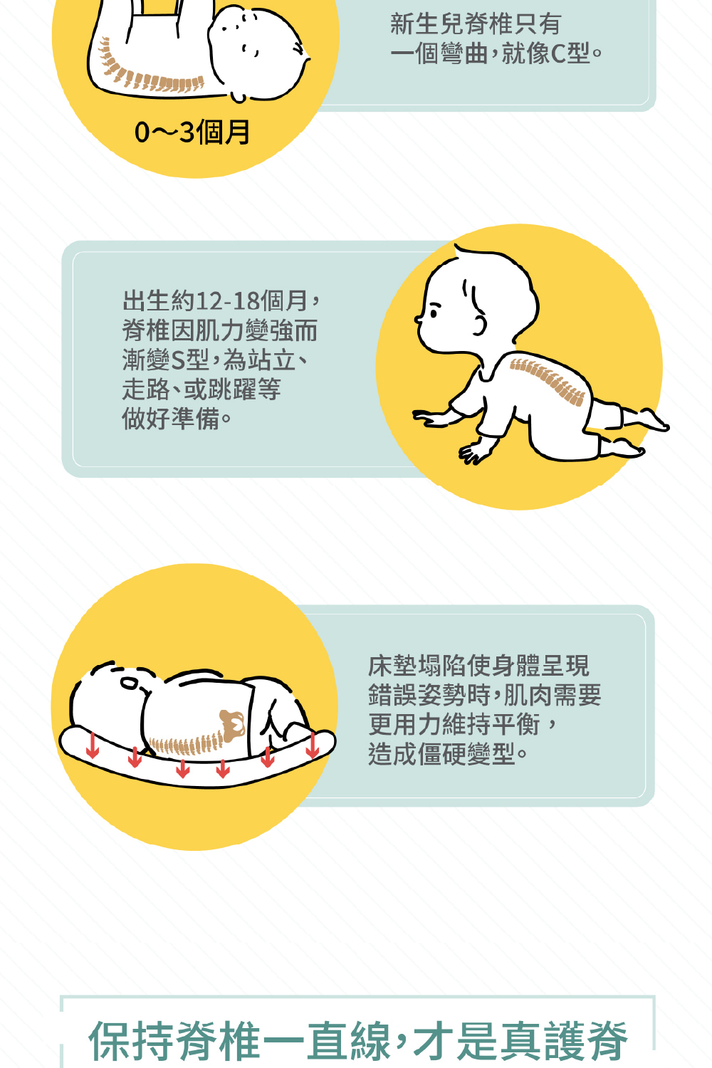 保持脊椎一直線,才是真護脊