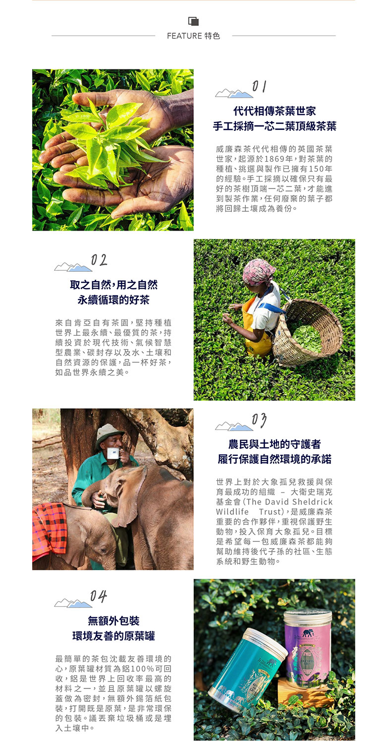 基金會The David Sheldrick