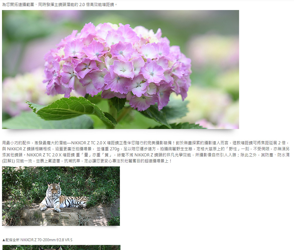 Nikon 尼康 Z TELECONVERTER TC-2.