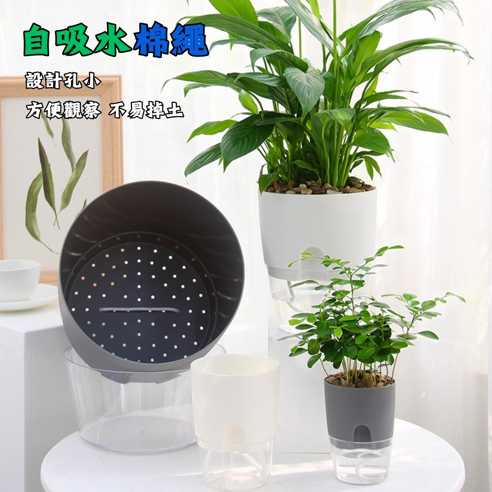 自吸水棉纸干 設計孔小 方便觀察 不易算止