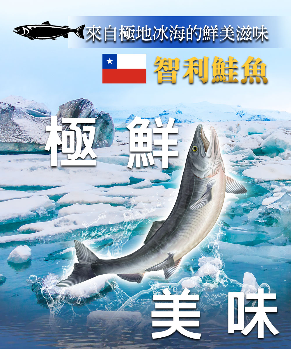 鮮綠生活 頂級智利鮭魚菲力900g經濟包 2包(900g±1