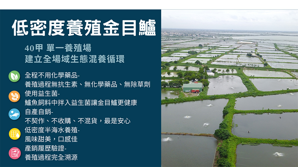 邱家兄弟 金目鱸魚精15包+京園御坊-滴牛肉精15包(常溫/