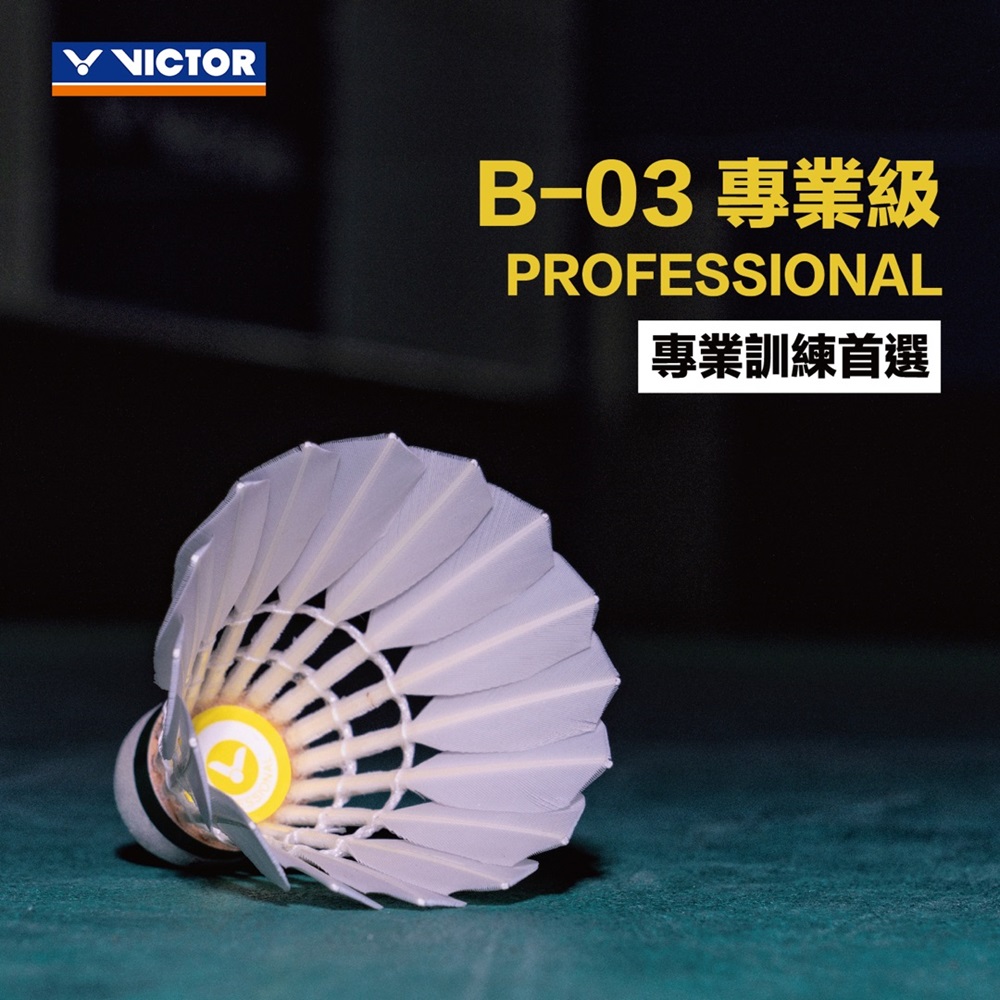 VICTOR 勝利體育 PROFESSIONAL B-03 