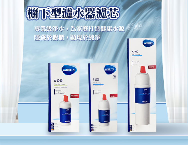 BRITA A1000 長效型濾芯 2入組(適用於 mypu