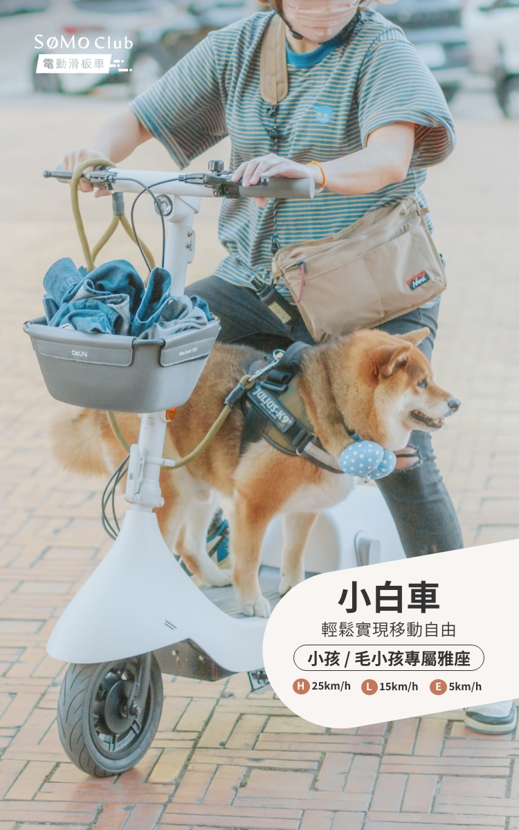 SoMo Club Beetle 小白車(電動腳踏車)品牌優