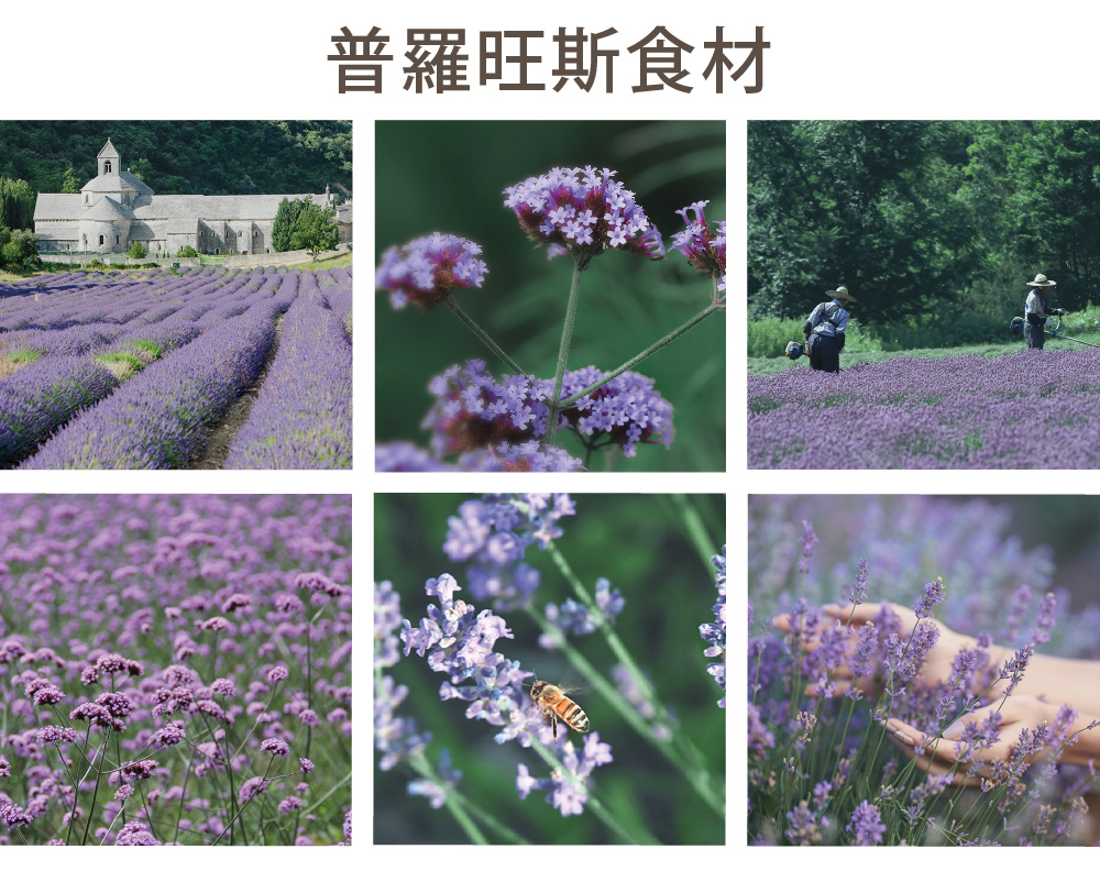 普羅旺斯食材 