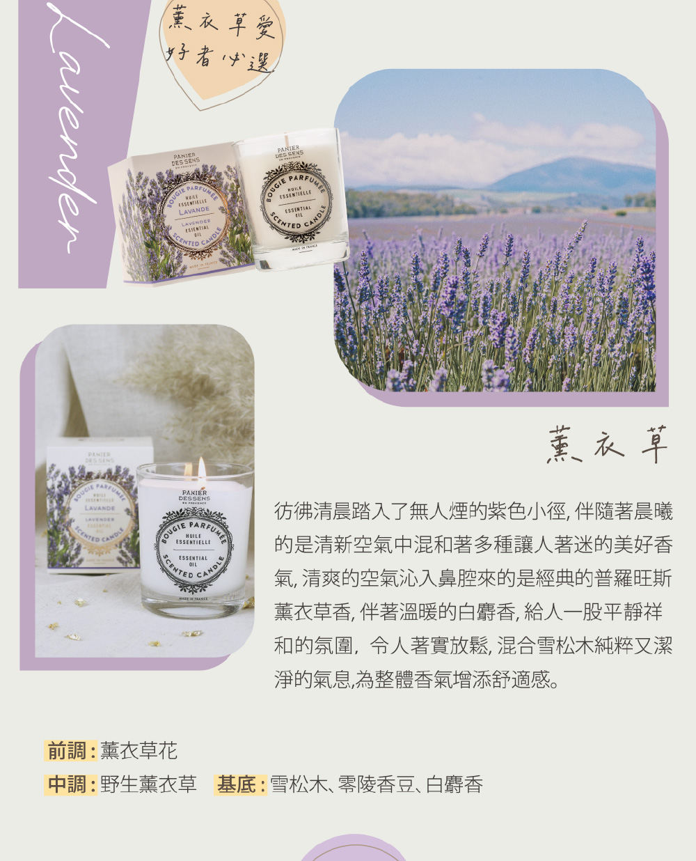 彷彿清晨踏入了無人煙的紫色小徑, 伴隨著晨曦