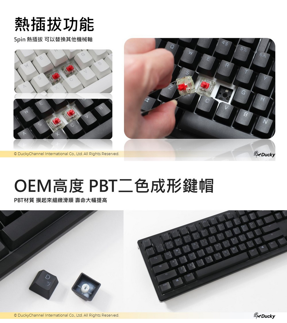 熱插拔功能 5pin 熱插拔 可以替換其他機械軸 OEM高度 PBT二色成形鍵帽 PBT材質 摸起來細緻滑順 壽命大幅提高 