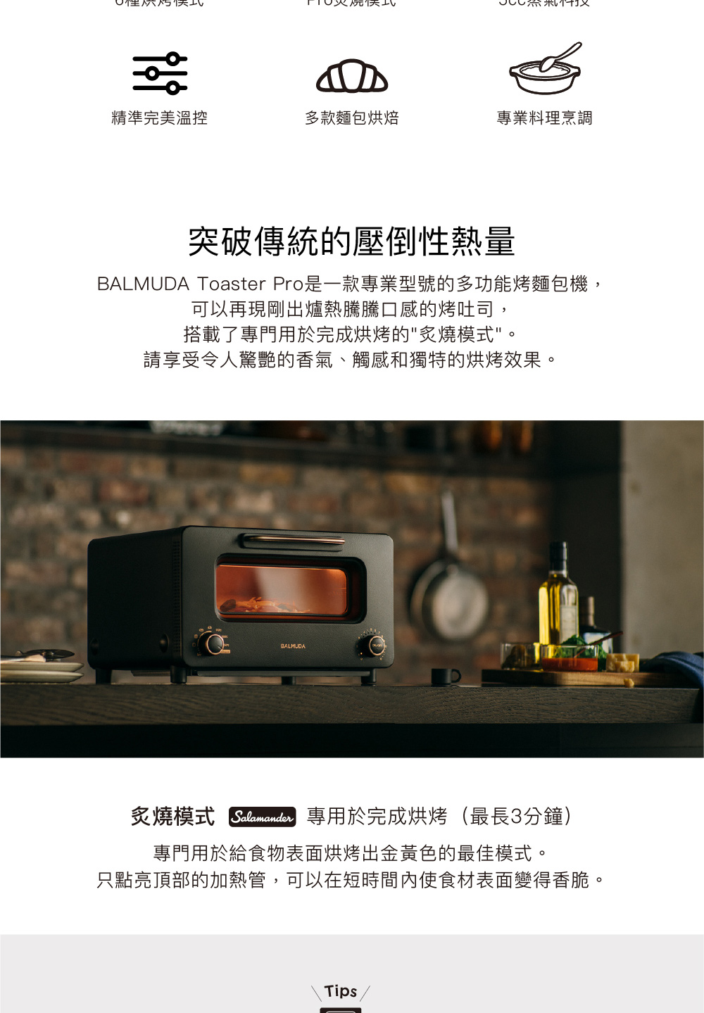 BALMUDA 百慕達 The Toaster Pro 蒸氣